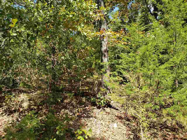 L-55 & 56 B-7 Lochloosa Drive, Cherokee Village, AR 72529