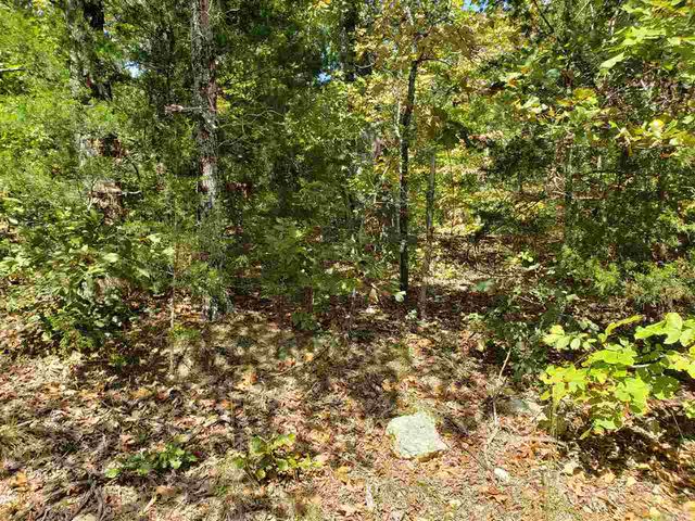 L-55 & 56 B-7 Lochloosa Drive, Cherokee Village, AR 72529