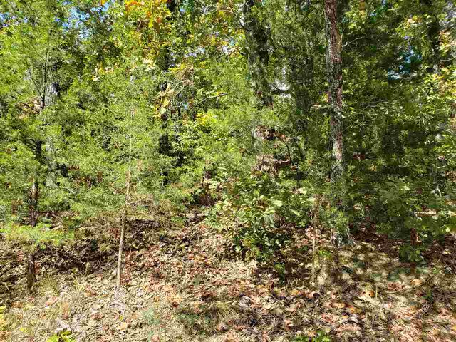L-55 & 56 B-7 Lochloosa Drive, Cherokee Village, AR 72529
