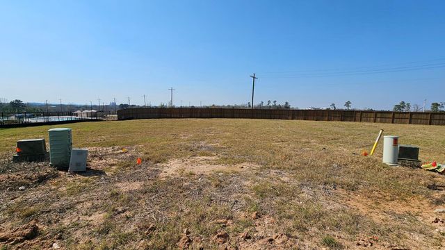 13907 Lion Rock Court, Willis, TX 77318