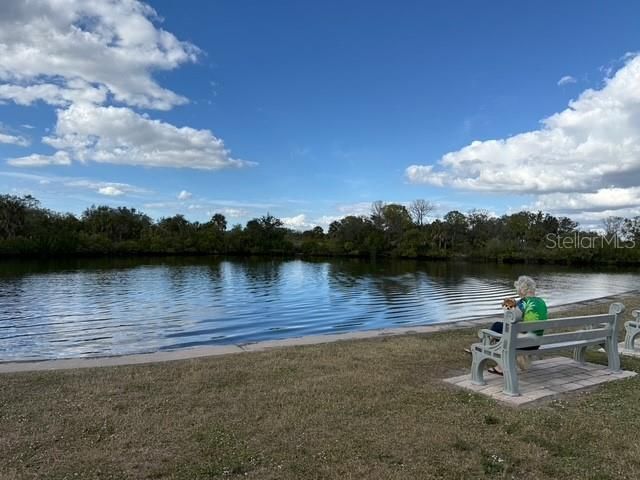 175 N SAINT THOMAS CIRCLE, Apollo Beach, FL 33572