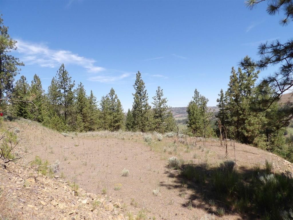Lot 2 Chukar Short Plat Ln, Davenport, WA 99122