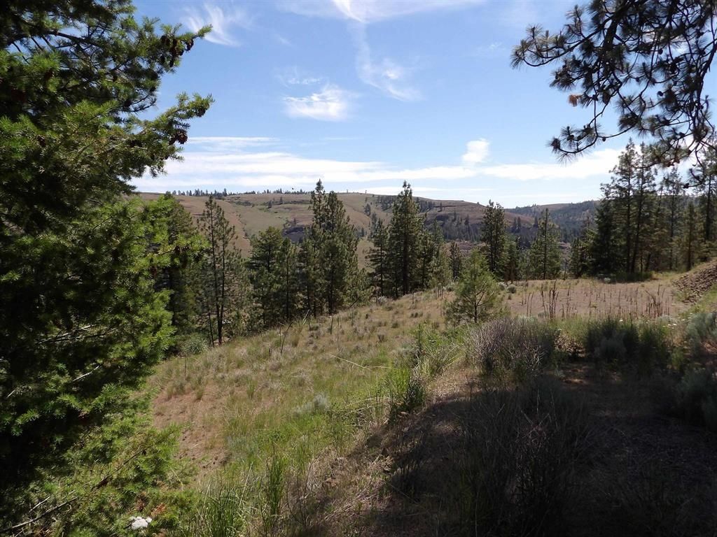 Lot 2 Chukar Short Plat Ln, Davenport, WA 99122 photo 4