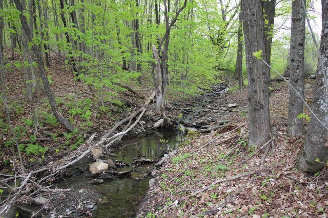 3091 Baptist Street, Williamstown, VT 05679