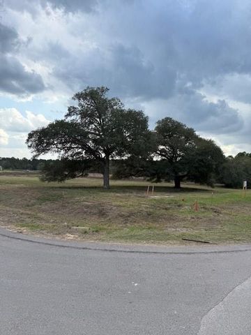 9502 Old Cedars Drive, Plantersville, TX 77363