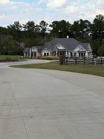 9502 Old Cedars Drive, Plantersville, TX 77363