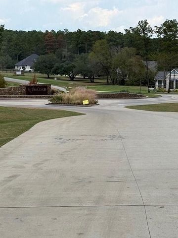 9502 Old Cedars Drive, Plantersville, TX 77363