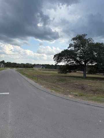 9502 Old Cedars Drive, Plantersville, TX 77363