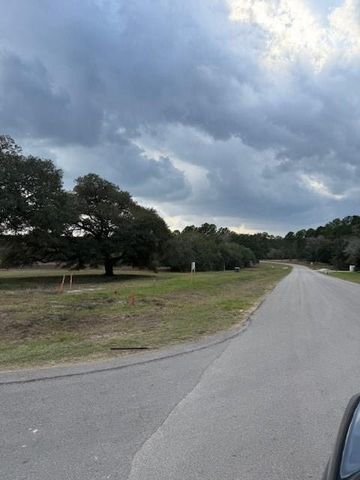 9502 Old Cedars Drive, Plantersville, TX 77363