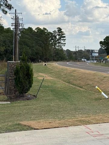 9502 Old Cedars Drive, Plantersville, TX 77363