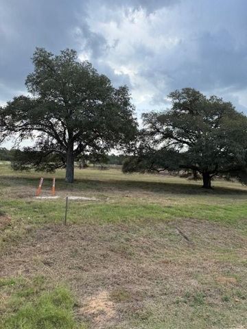 9502 Old Cedars Drive, Plantersville, TX 77363