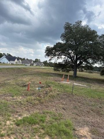 9502 Old Cedars Drive, Plantersville, TX 77363