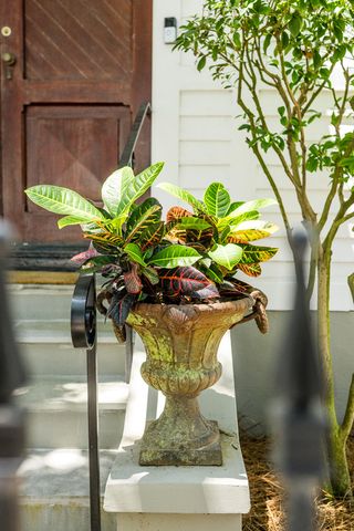 41 Pitt Street, Charleston, SC 29401