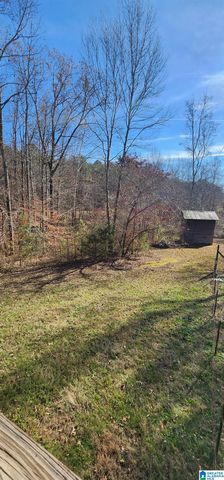 1107 SLOAN DRIVE, Blountsville, AL 35031