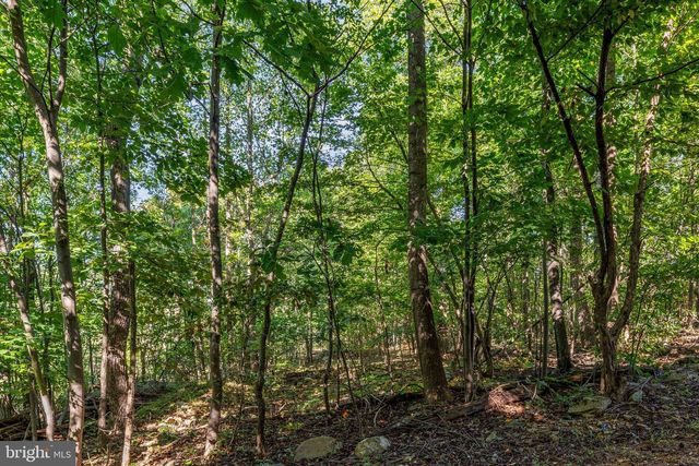101 BLUE VALLEY RD, Linden, VA 22642