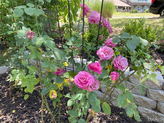 2148 Stone Gate Drive, Dupo, IL 62239