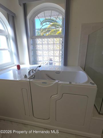 2476 Misty Meadow Court, Spring Hill, FL 34606