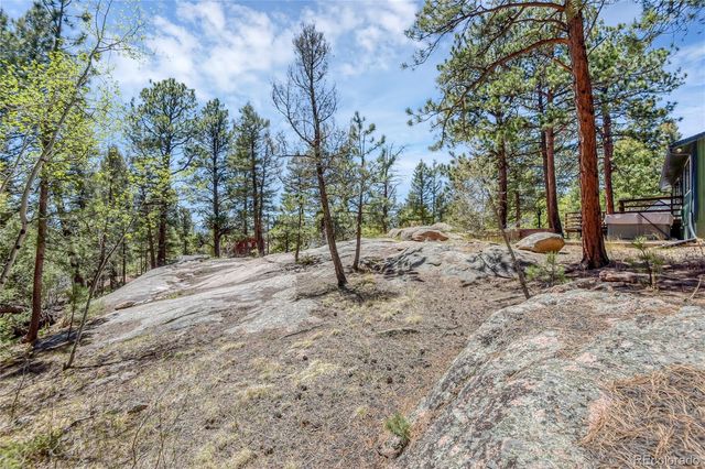 12276 Styve Road, Conifer, CO 80433