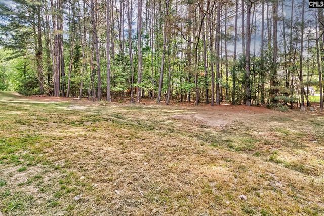1338 Camping Road, Gilbert, SC 29054