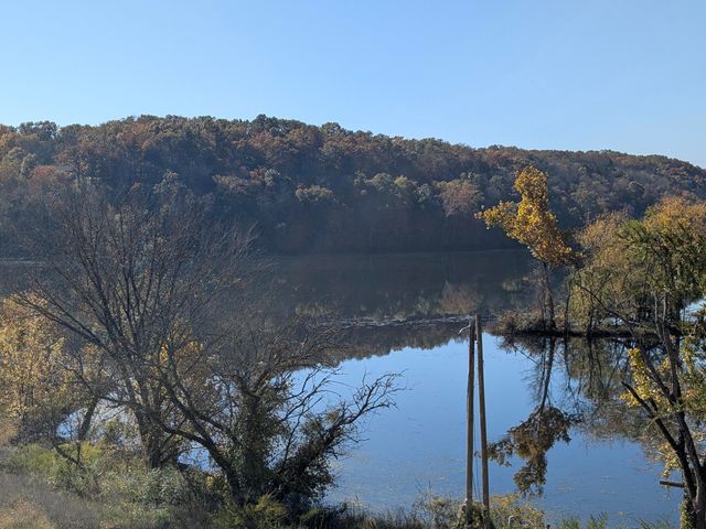 227 Cedar Point Road, Forsyth, MO 65653