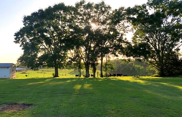 2679 Highway 27, Enterprise, AL 36330