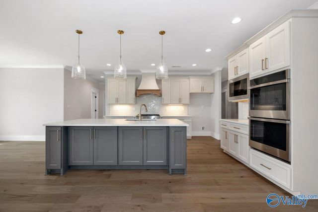 224 Ray Ridge Trail, Meridianville, AL 35773