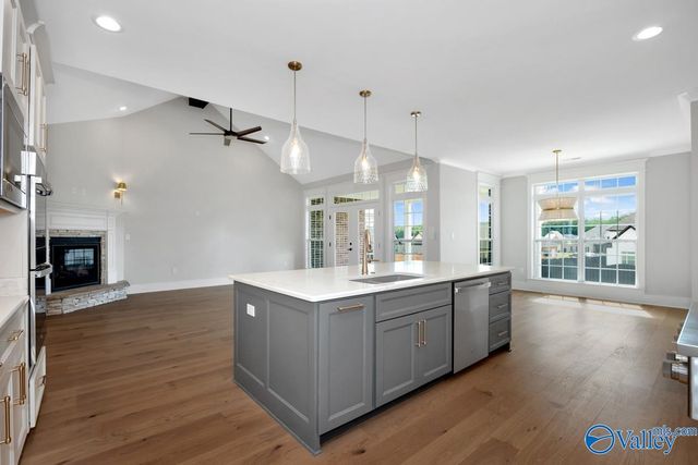 224 Ray Ridge Trail, Meridianville, AL 35773