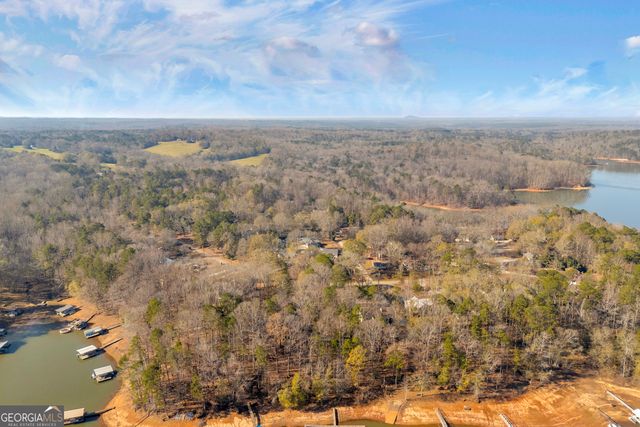 51 Lake Mist Drive, Martin, GA 30557