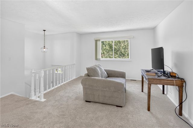 3234 Fillmore Drive, Brunswick, OH 44212