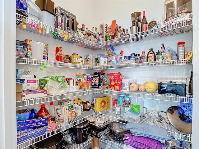 31385 TANSY BEND, Wesley Chapel, FL 33545