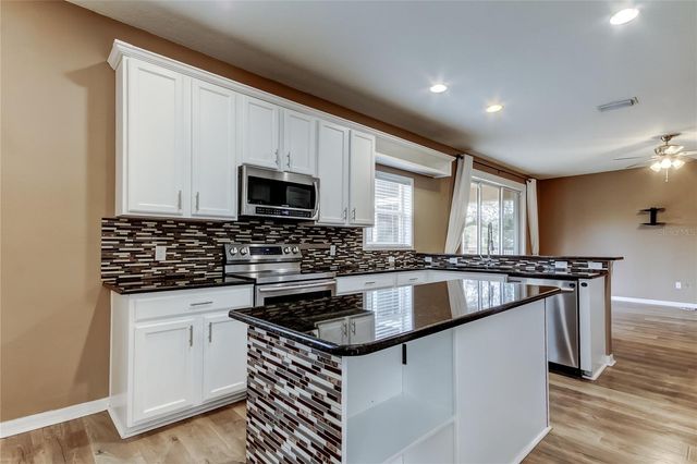 6019 CAPE LOOP, Land O Lakes, FL 34639