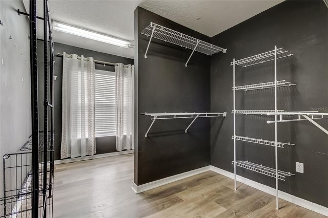 6019 CAPE LOOP, Land O Lakes, FL 34639