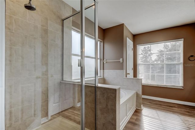 6019 CAPE LOOP, Land O Lakes, FL 34639