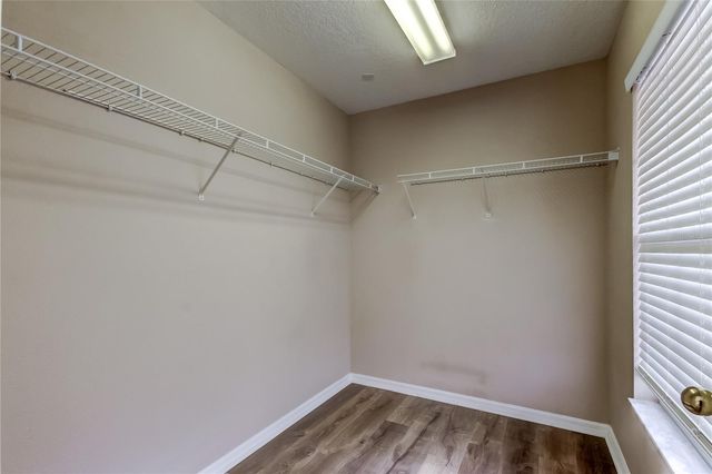 6019 CAPE LOOP, Land O Lakes, FL 34639