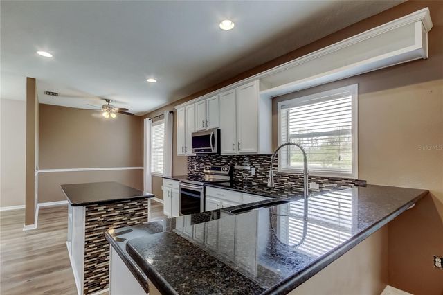 6019 CAPE LOOP, Land O Lakes, FL 34639