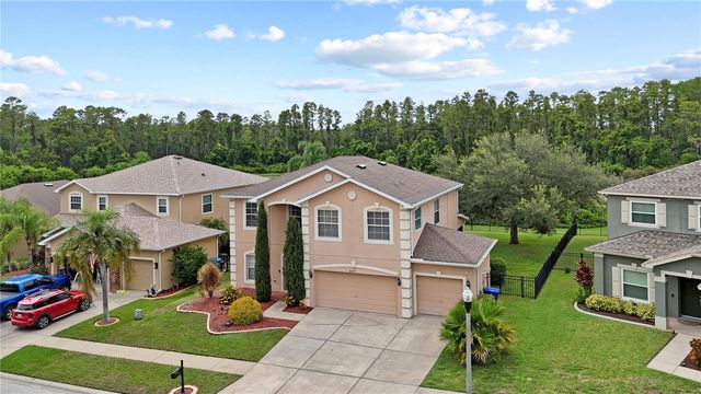 6019 CAPE LOOP, Land O Lakes, FL 34639