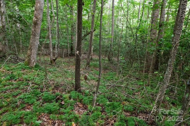 2401 Hundred Acres Lane, Lenoir, NC 28645