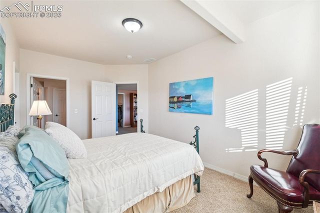 1135 Bayfield Drive, Colorado Springs, CO 80906