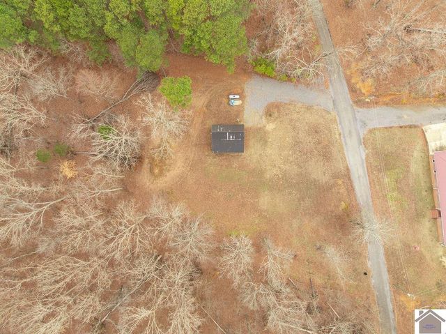 163 Hesley, New Concord, KY 42076