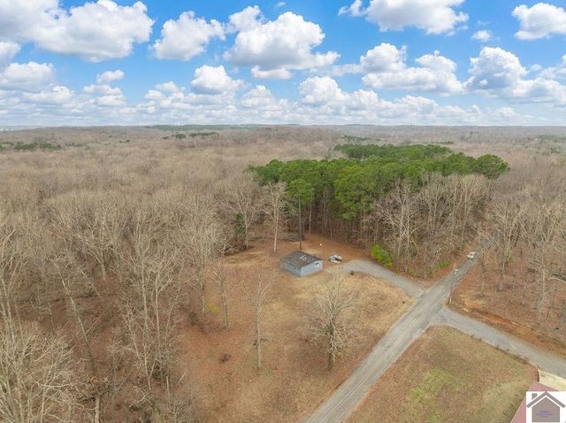 163 Hesley, New Concord, KY 42076