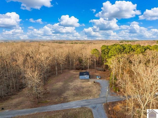 163 Hesley, New Concord, KY 42076