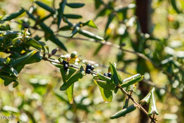 704 River Road, Church Hill, TN 37642