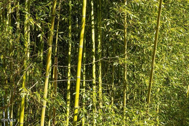 704 River Road, Church Hill, TN 37642