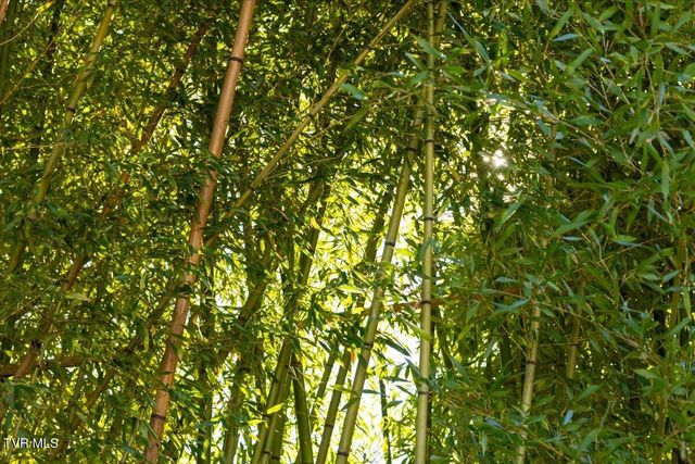 704 River Road, Church Hill, TN 37642