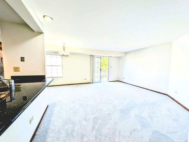 1751 Sleepy Hollow Court 7, Schaumburg, IL 60195