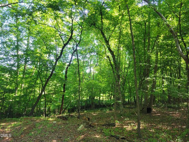 0 Hicks Farm Road, Staley, NC 27355