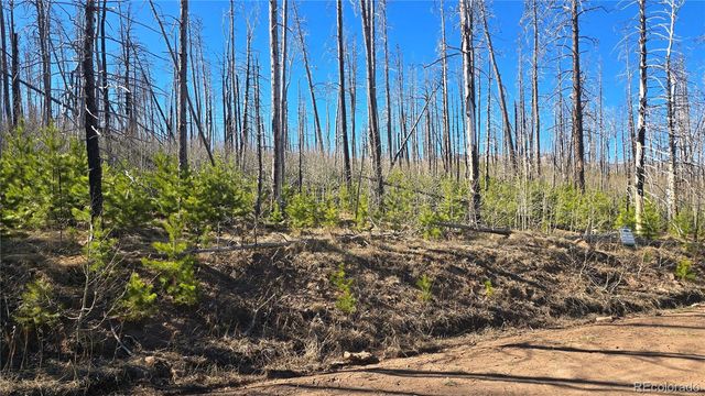Lot 1470 Von Heyl Lane, Fort Garland, CO 81133