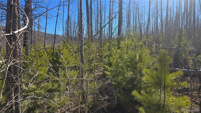 Lot 1470 Von Heyl Lane, Fort Garland, CO 81133