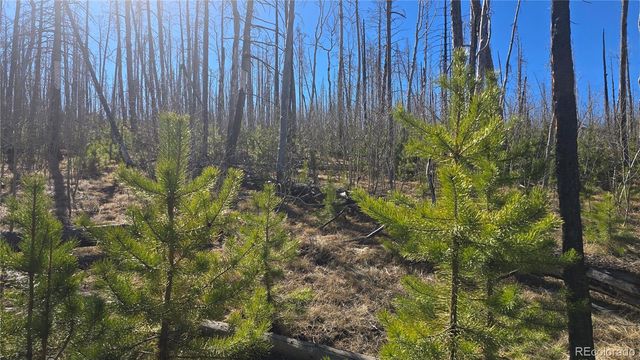 Lot 1470 Von Heyl Lane, Fort Garland, CO 81133