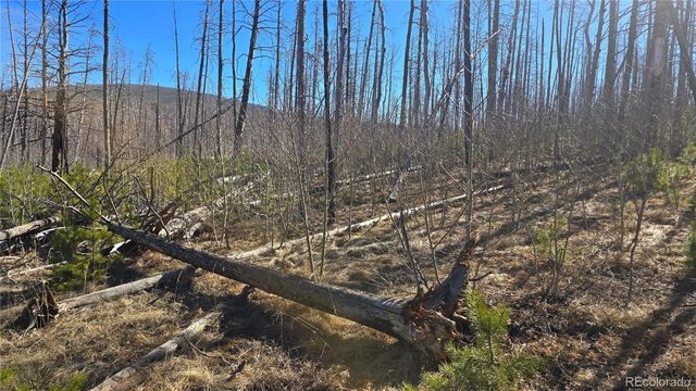 Lot 1470 Von Heyl Lane, Fort Garland, CO 81133